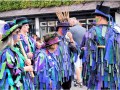 Wicket-Brood-Border-Morris-St-Albans-17-Jun-2023-Image-2