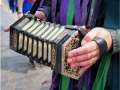 Wicket-Brood-Border-Morris-St-Albans-17-Jun-2023-Image-8